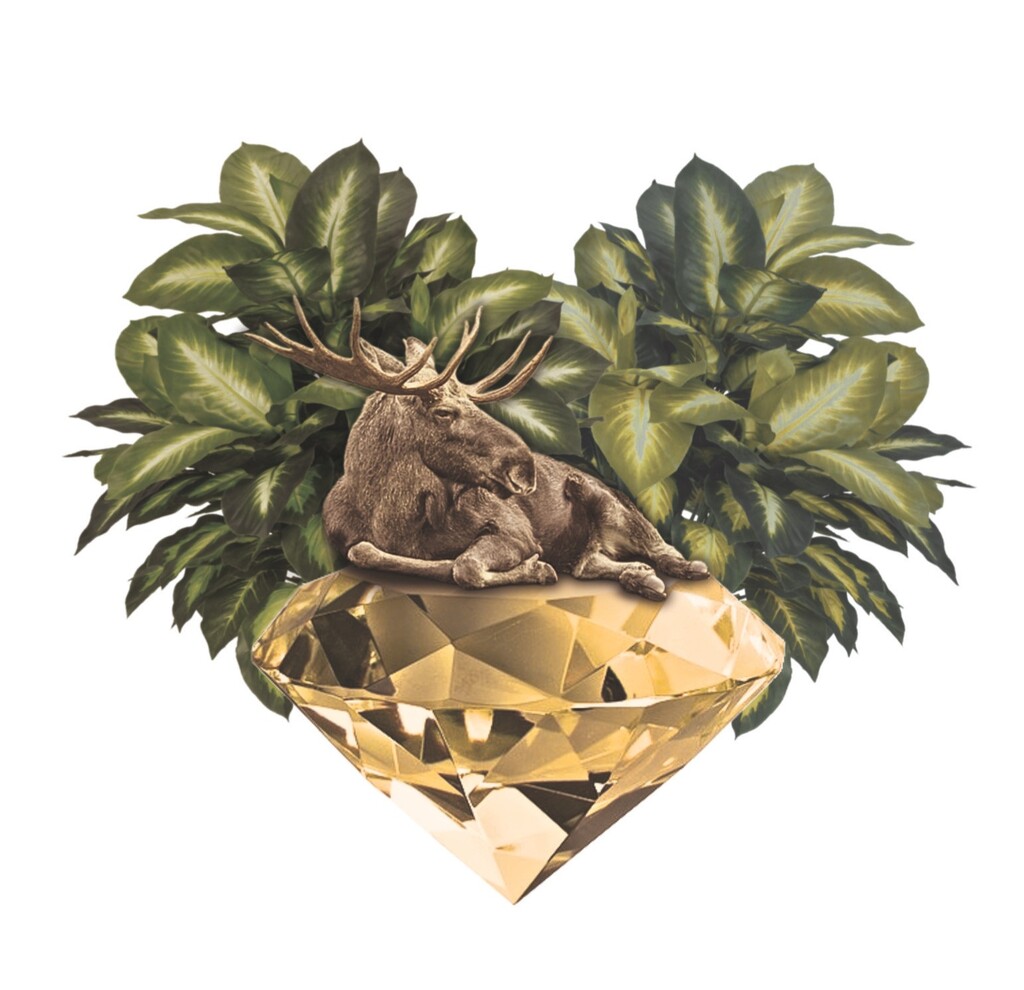 A close-up of Zen Peatland poster by LinTu.studio