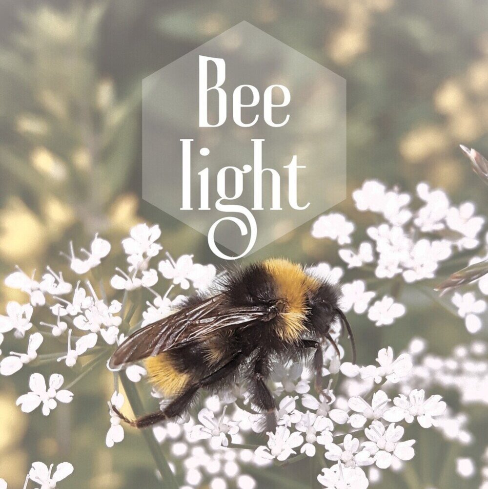 An image of Bee Light poster by LinTu.studio