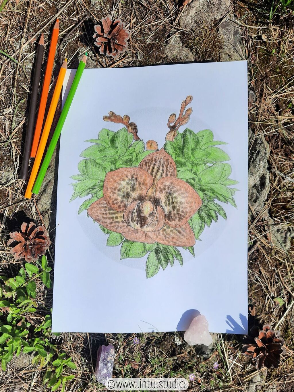 Two coloring pages on dark, patterned surface. The page on top is a colored and has orchid themed, below a partial deer design. The Deer Orchid coloring pages are designed by LinTu.studio