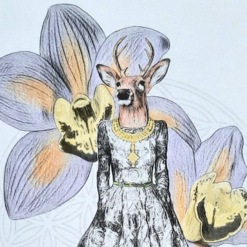 Deer Orchid coloring art