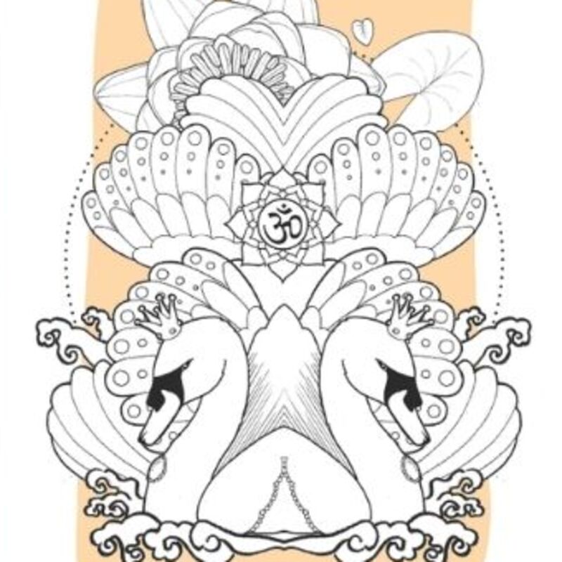 Swantastic art set