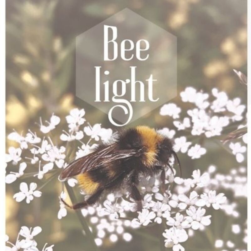 Bee Light art set of 3