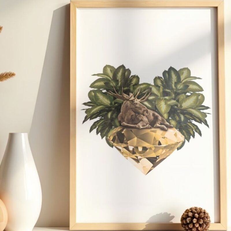 A Moose Gem framed