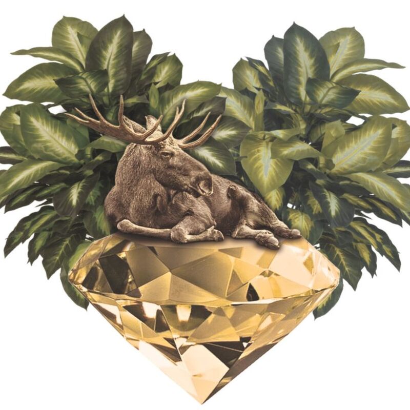 A Moose Gem wall art set