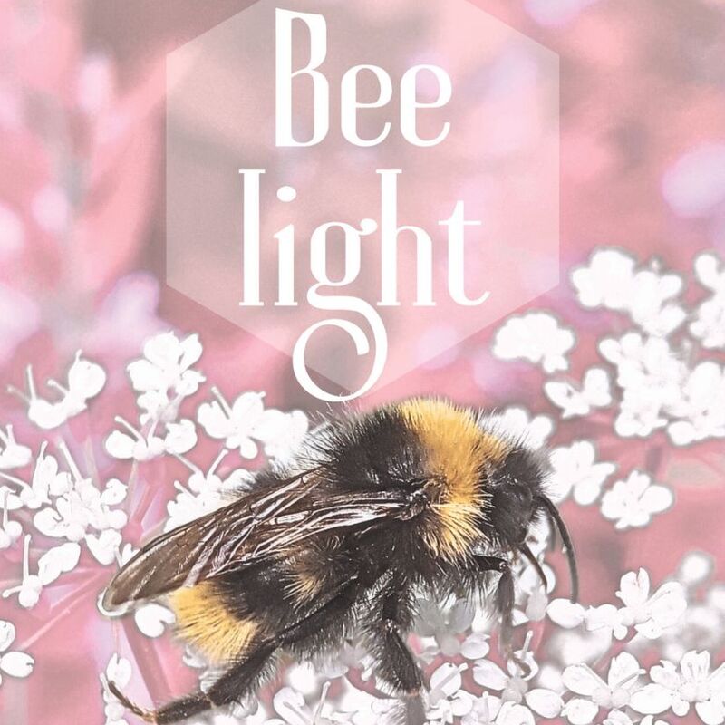 Bee Light wall art set
