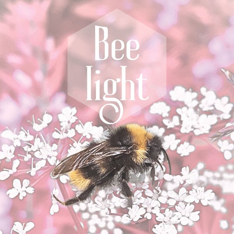 Bee Light printable art